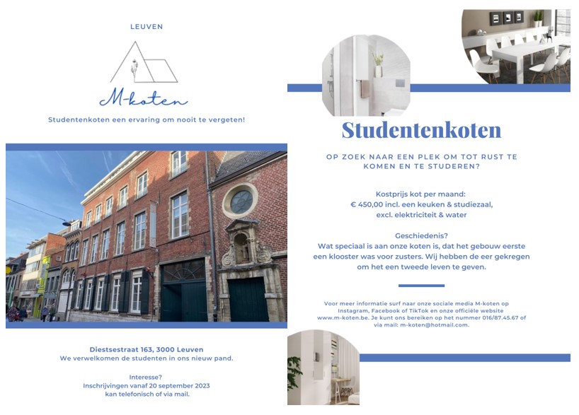 afbeeldingvaneenflyer